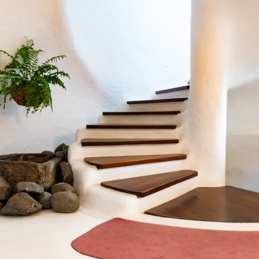 Activities Cesar Manrique